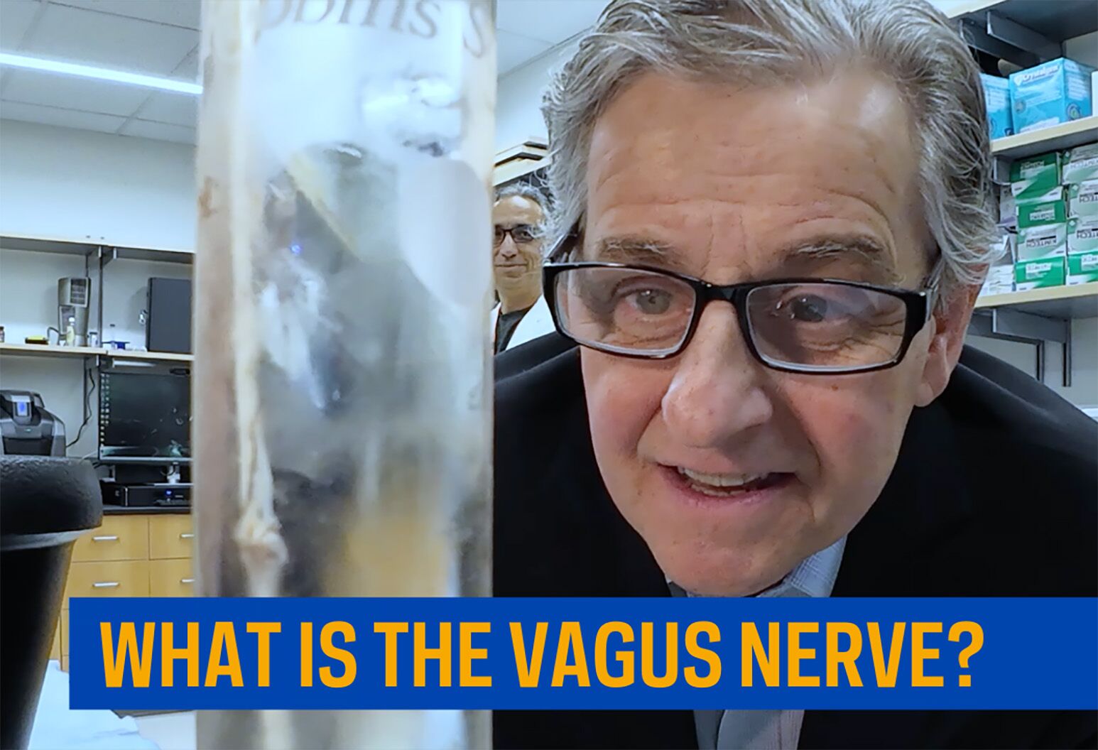 semaglutide vagus nerve A new alternative to weight-loss medication?