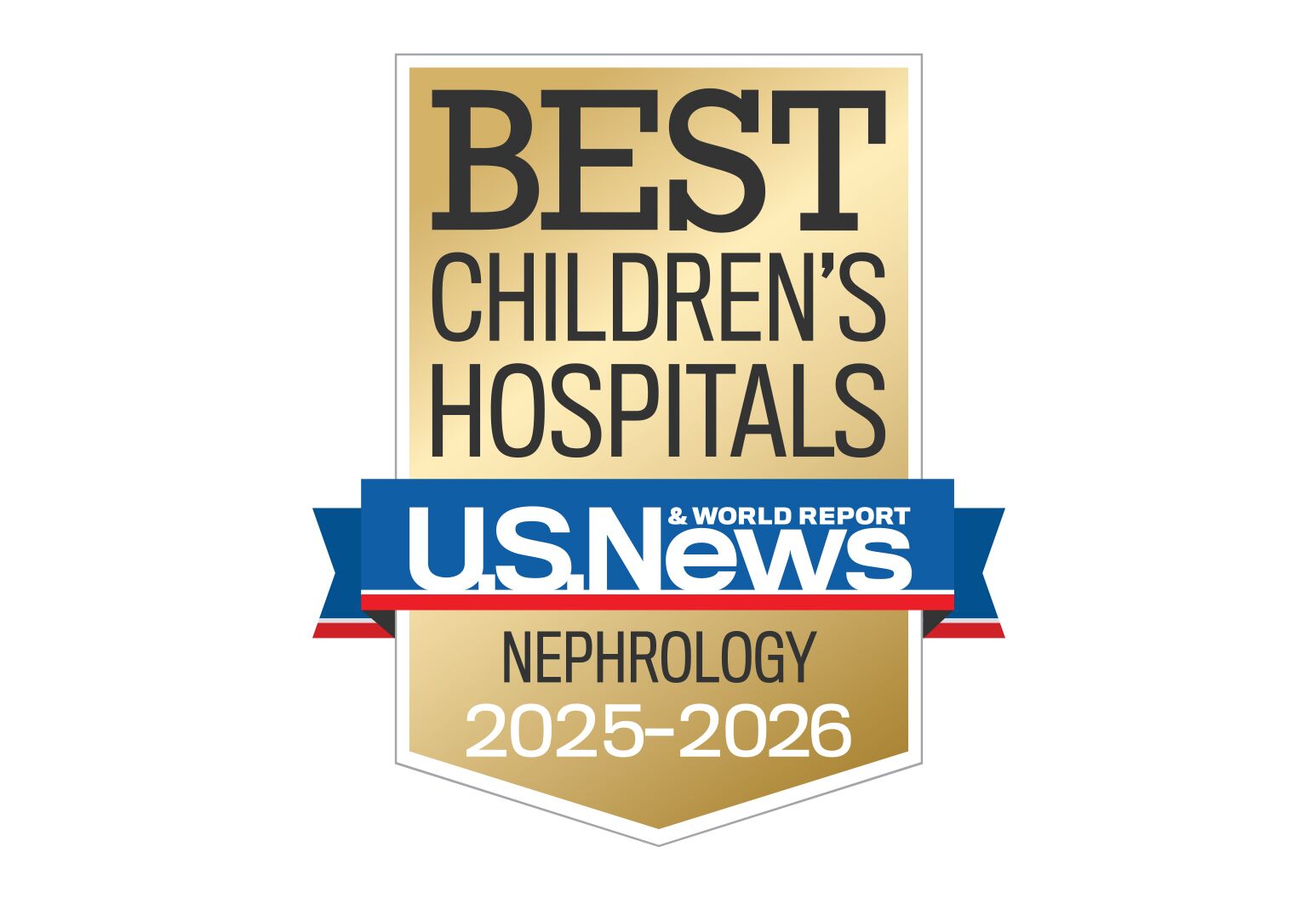 Pediatric nephrology and kidney transplantation