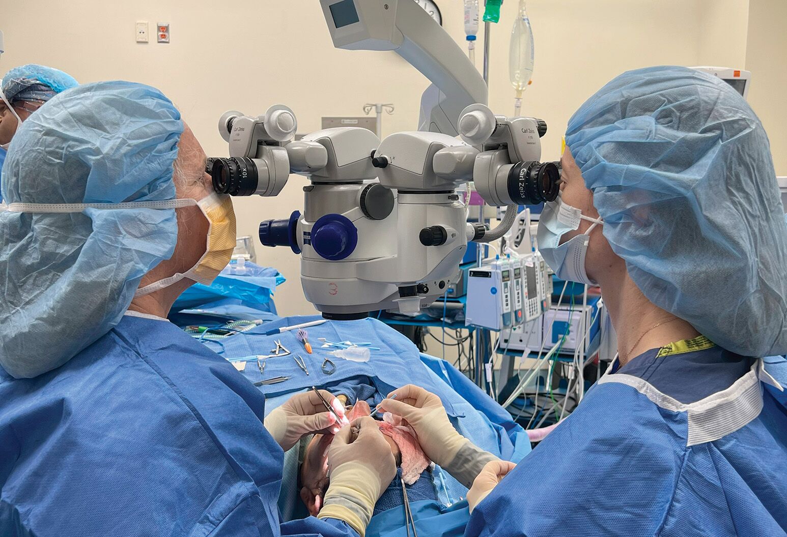 meeth ハダトウキ About us - Manhattan Eye Ear & Throat Hospital (MEETH