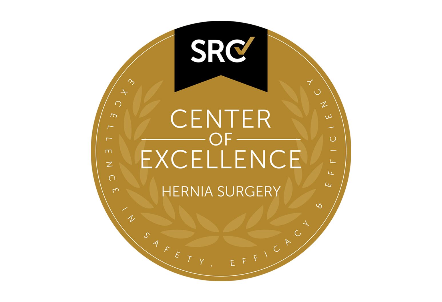 SRC Network of Excellence badge.