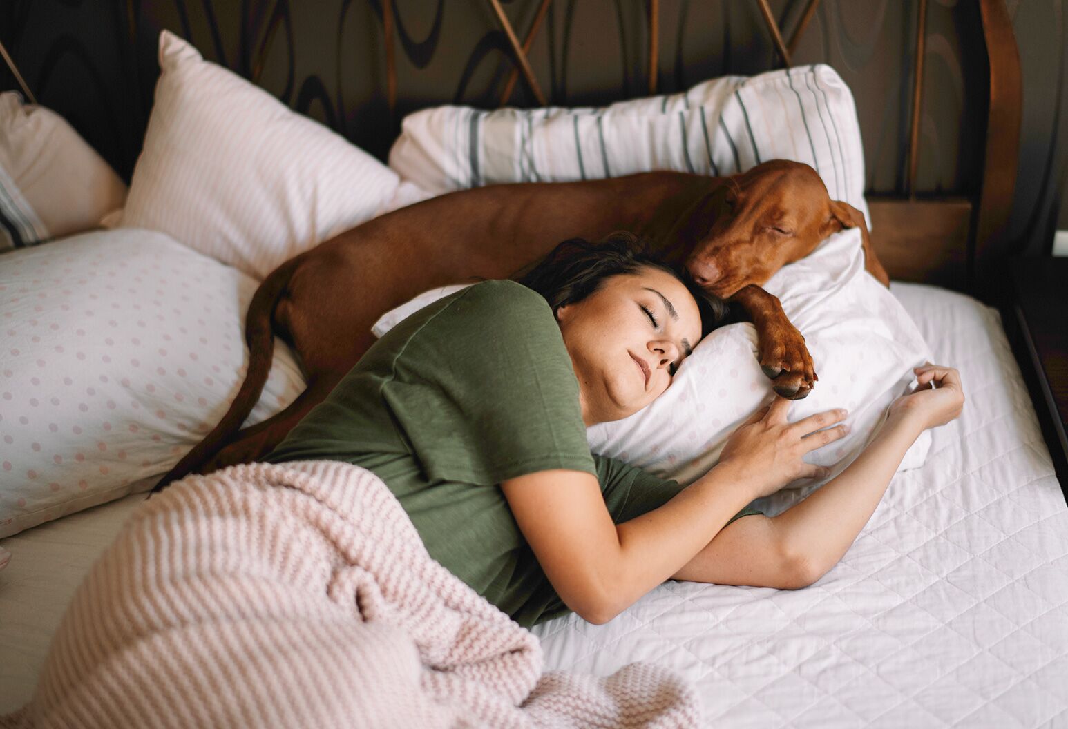 Woman lying in bed with her dog resting on her pillow near the top of her head.