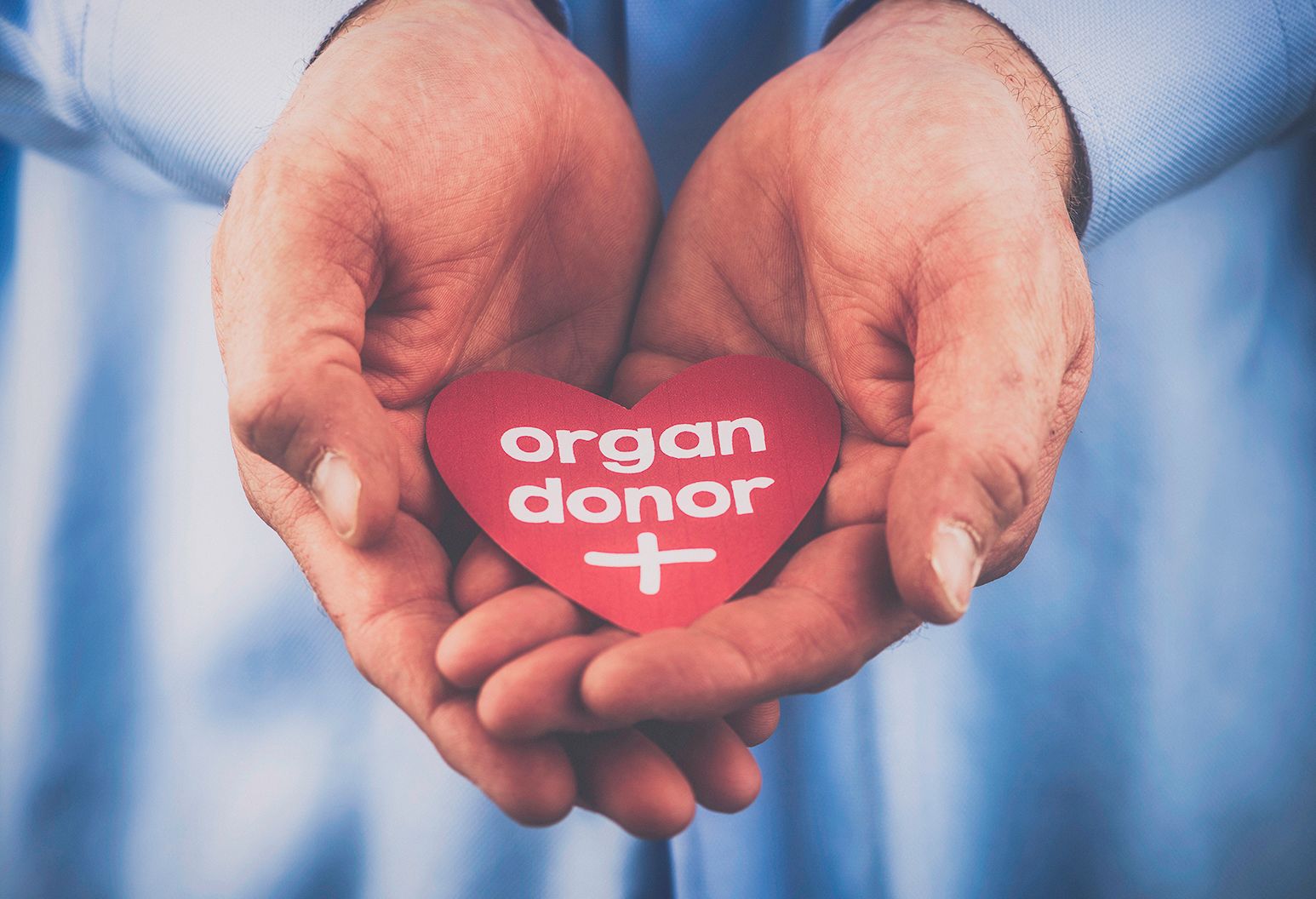 the-4-biggest-myths-about-organ-donation-the-well-by-northwell