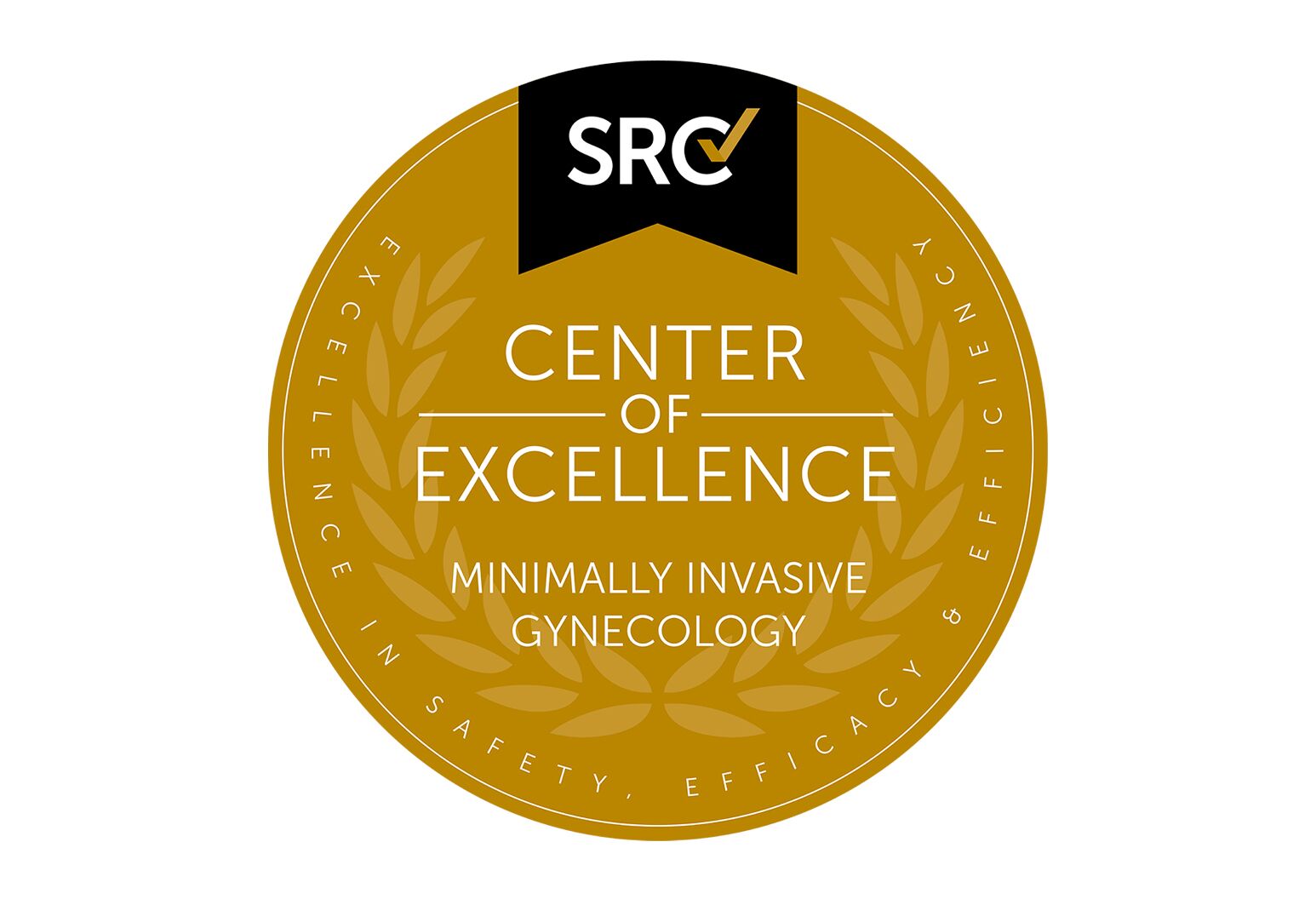 Gynecology - Katz Women's Hospital at North Shore University Hospital ...