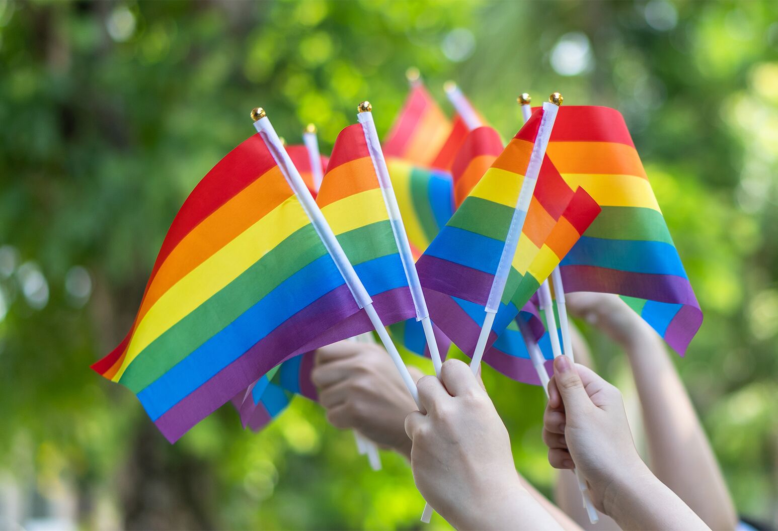 Big rise in U.S. teens identifying as gay, bisexual | Northwell Health