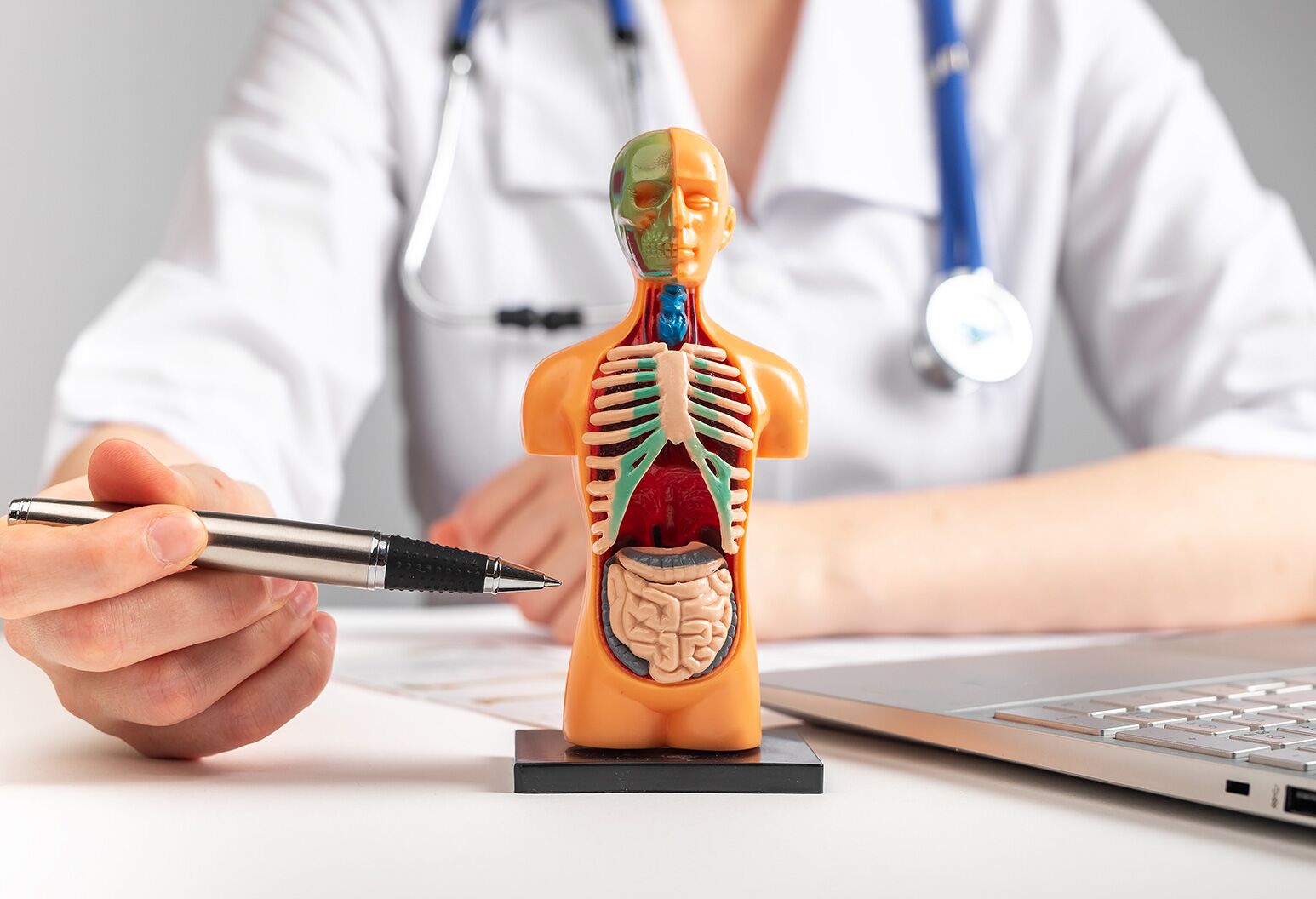 Doctor sitting at desk with an open laptop and silver pen pointing to a mini model of human body.