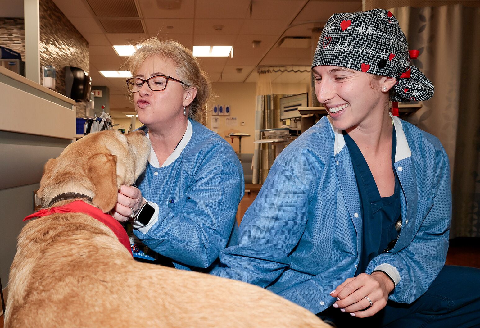 can doctors have service dogs