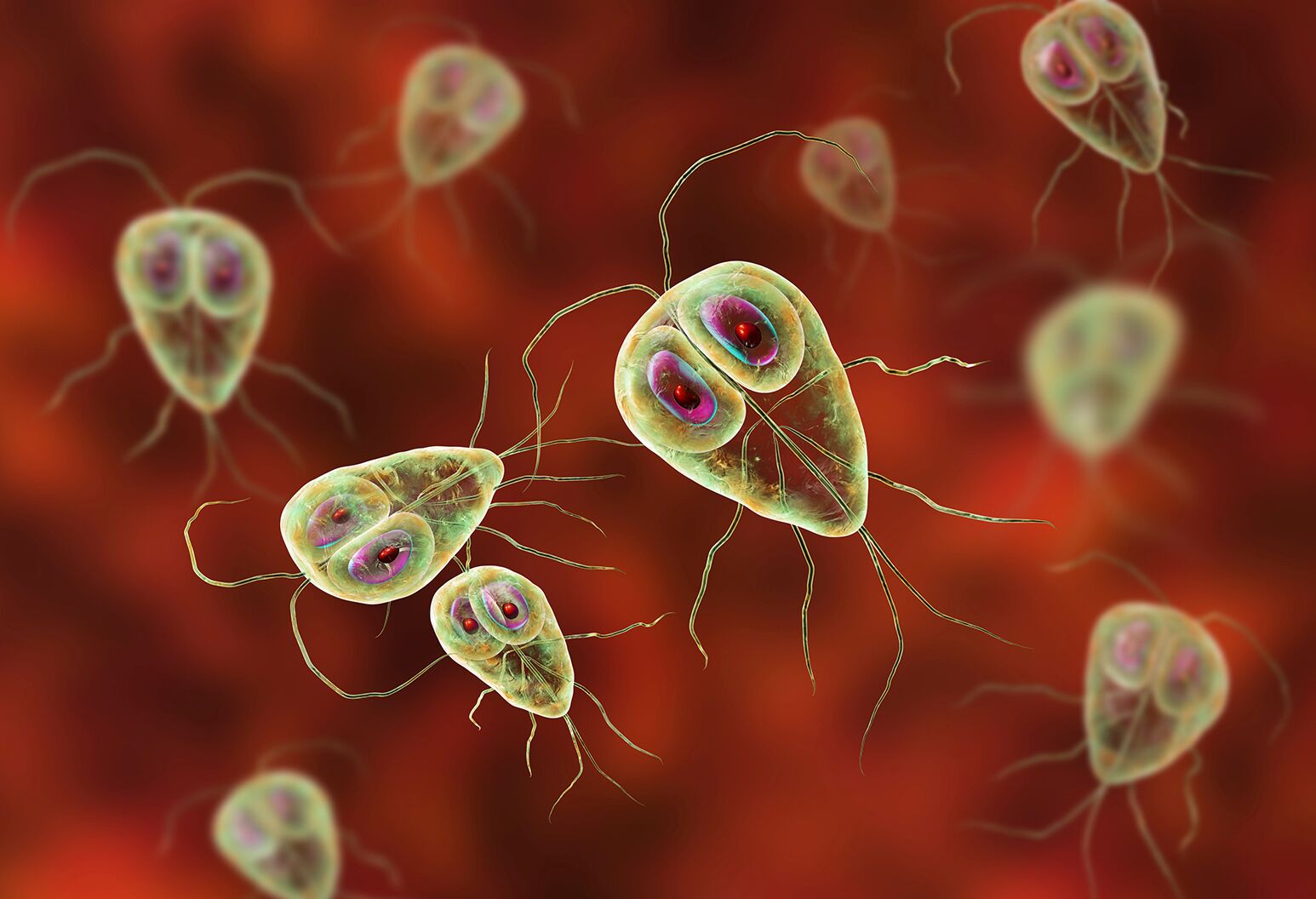How To Get Rid Of Parasites The Well By Northwell