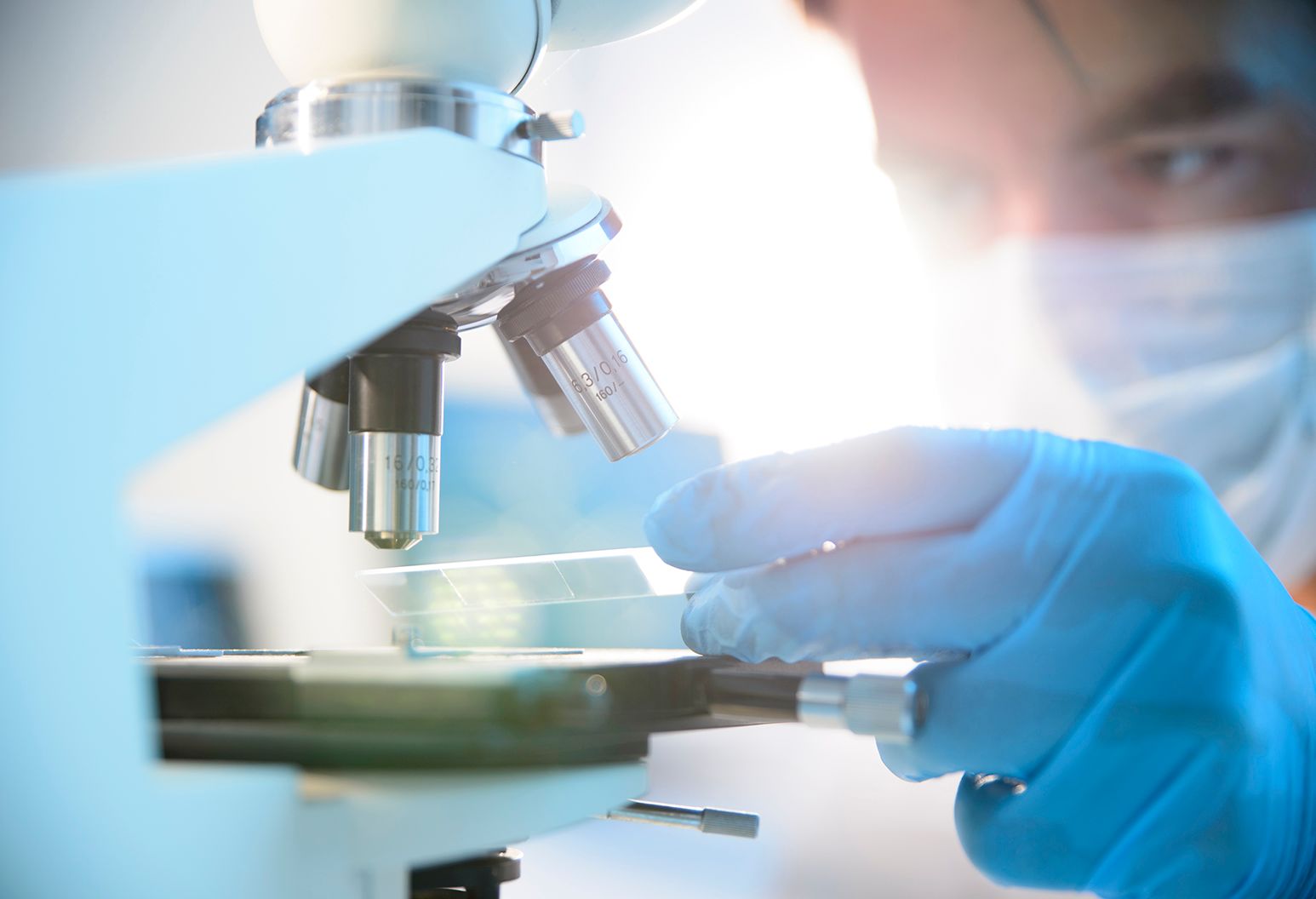 Northwell Health Labs at Phelps Hospital Phelps Hospital Northwell