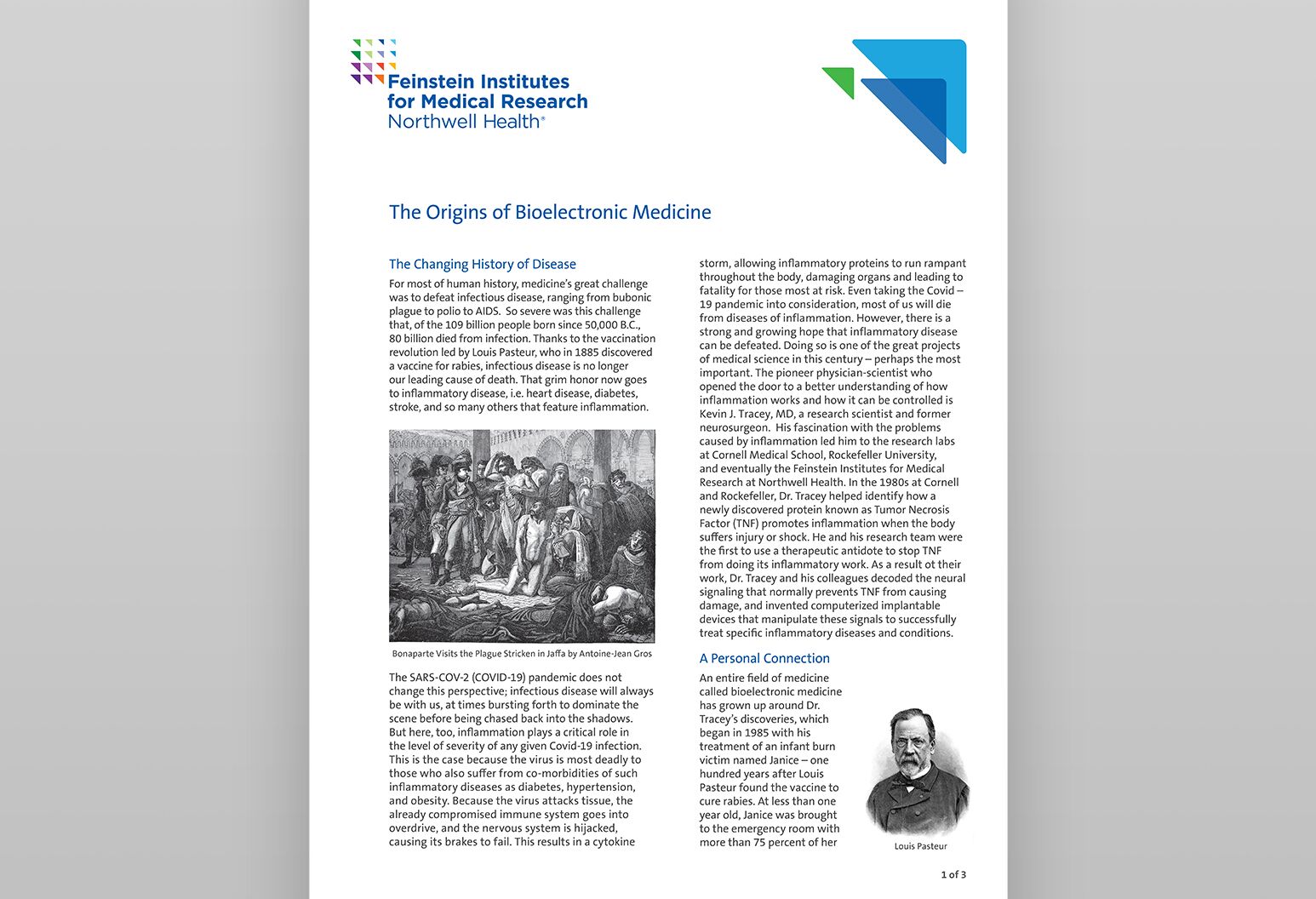 Institute Of Bioelectronic Medicine Feinstein Institutes For Medical