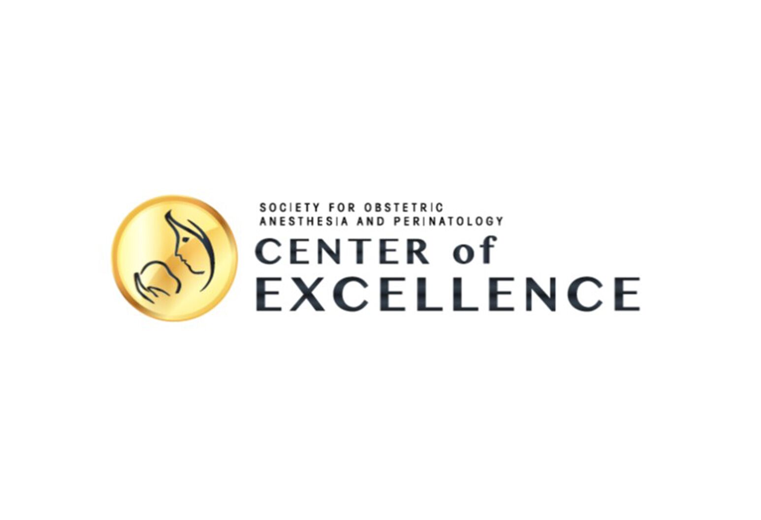 Center of Excellence logo