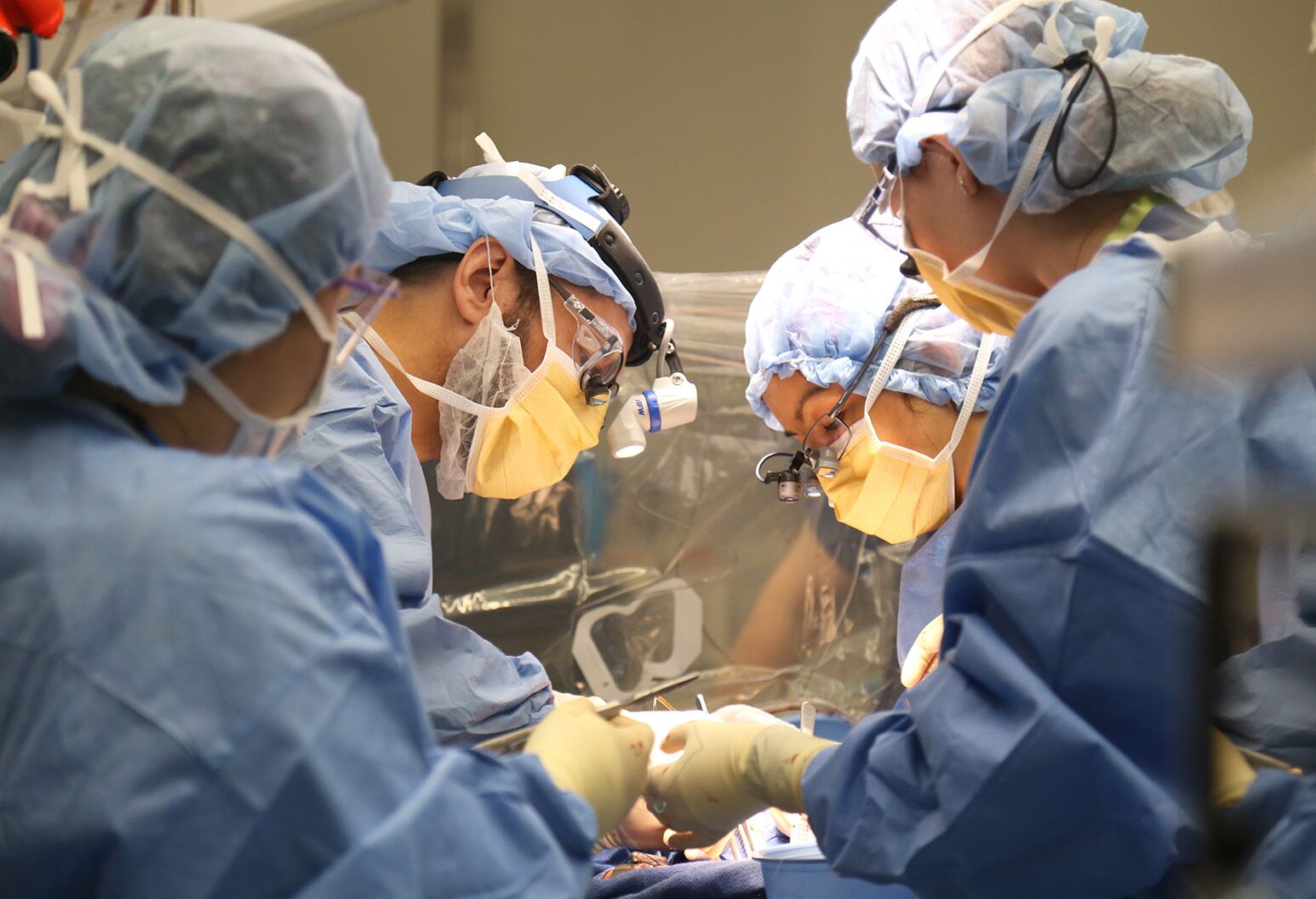 健康・医学 CARDIAC SURGERY Vital Statistics in Adult Cardiac Surgery