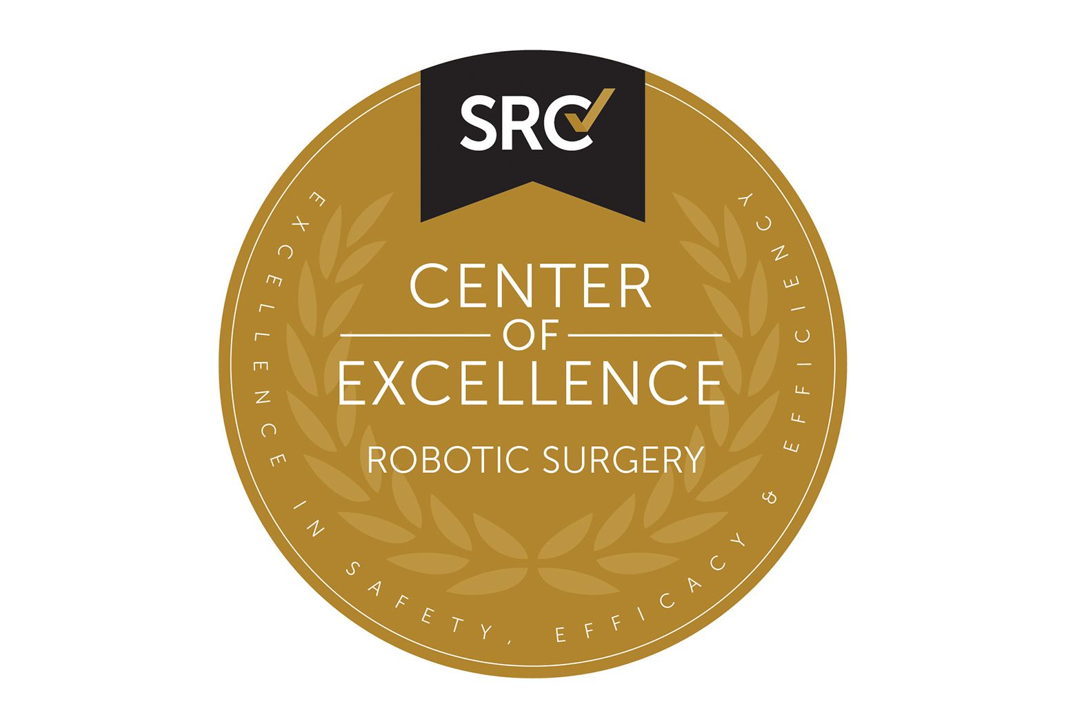 A Center of Excellence for robotic surgery—raising the bar in the OR