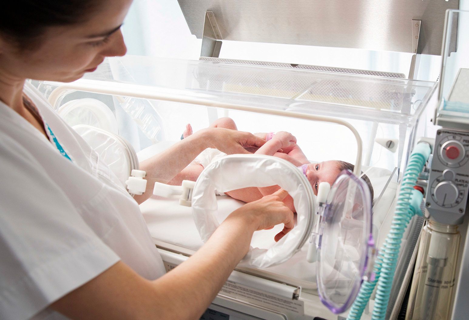 Neonatology Cohen Children's Northwell Health