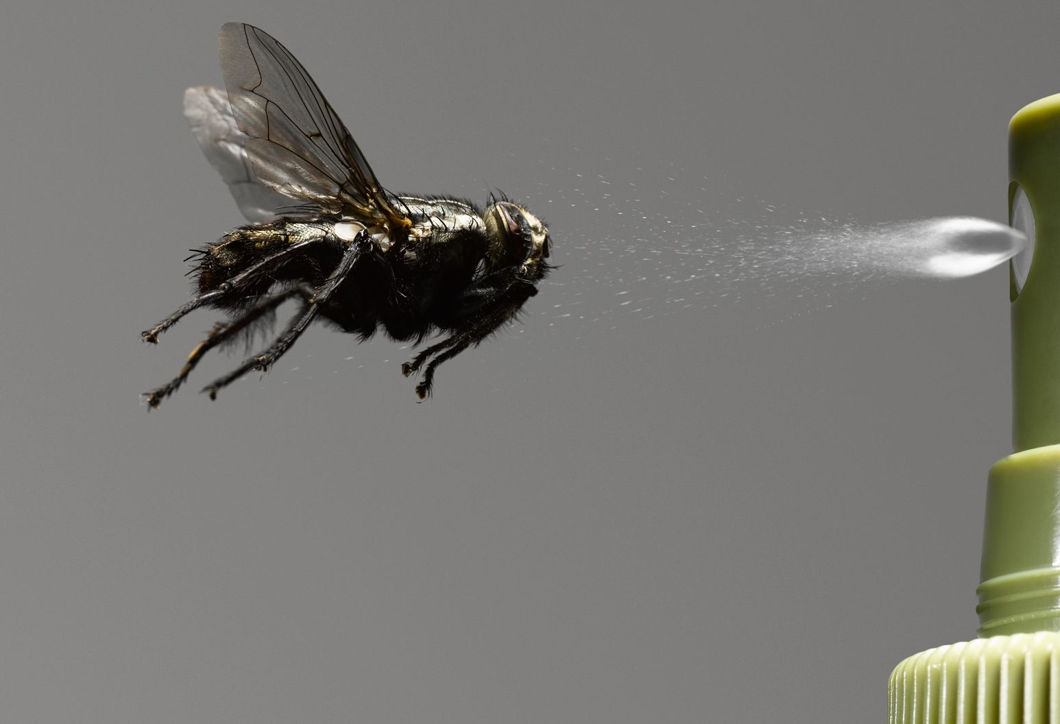 The Truth About Bug Sprays The Well by Northwell