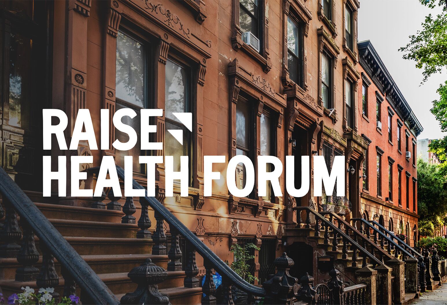 Northwell Hosts Virtual Inaugural Raise Health Forum Northwell Health 3749