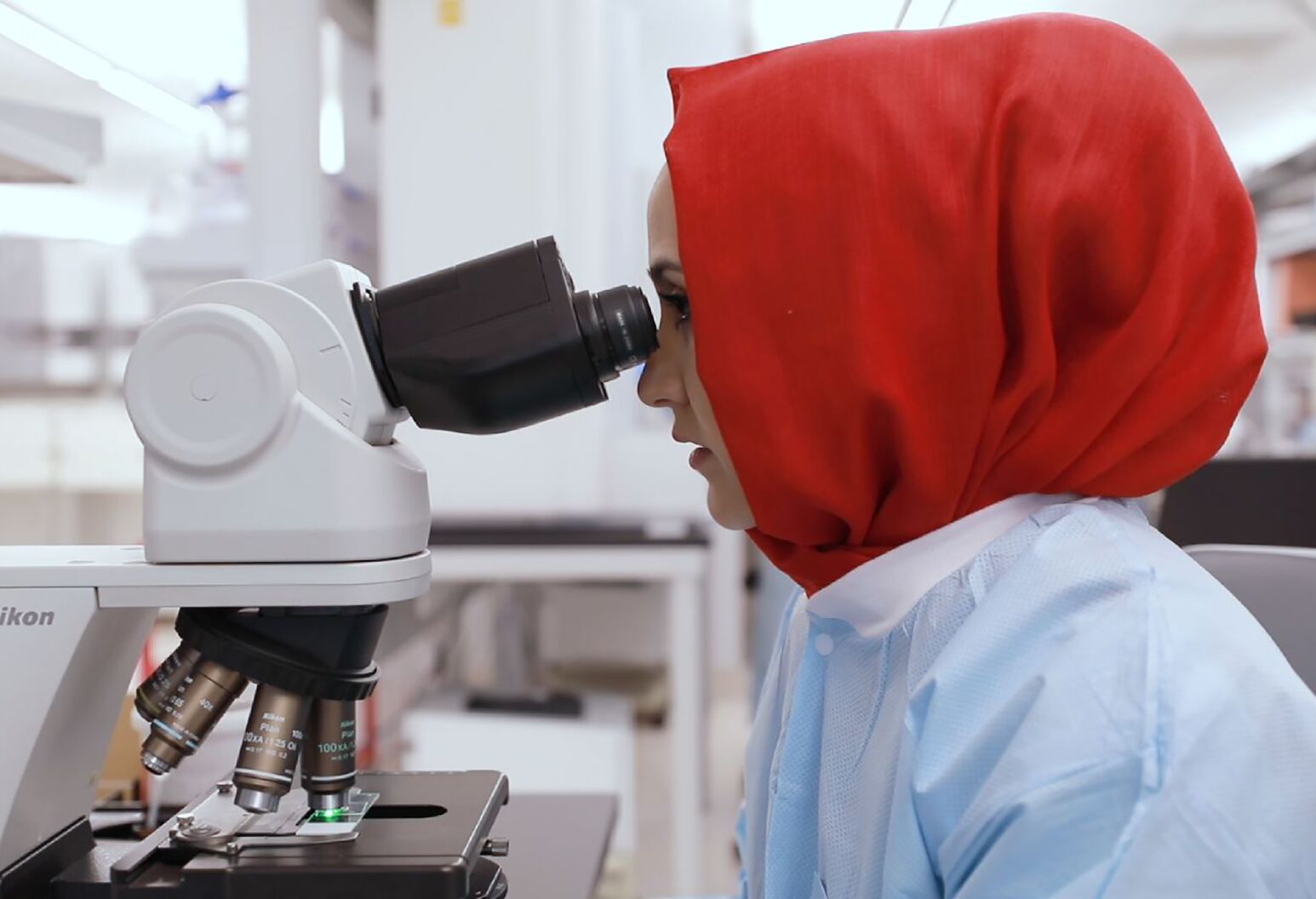 Labs Northwell Health